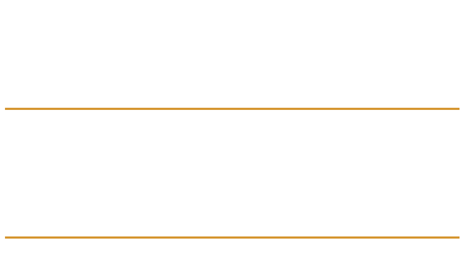 A white background with a thin orange line at the top and bottom.